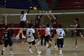 博彩行业的反洗钱机制（博彩业反洗钱体系）